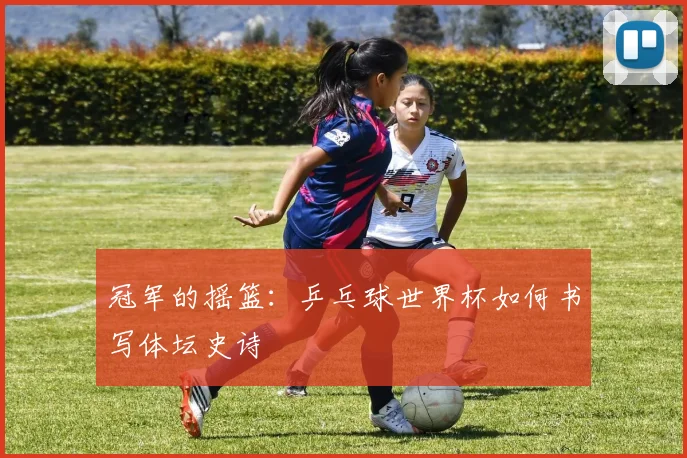 冠军的摇篮：乒乓球世界杯如何书写体坛史诗