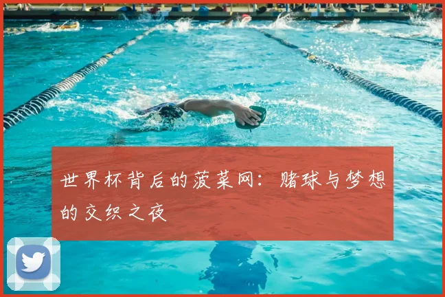 世界杯背后的菠菜网:赌球与梦想的交织之夜