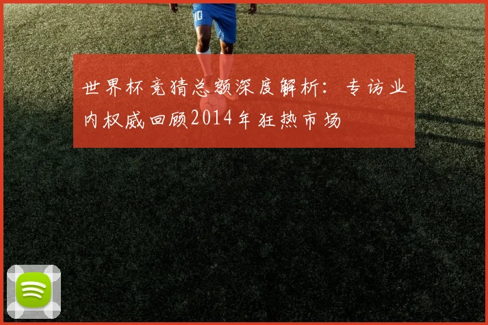 世界杯竞猜总额深度解析：专访业内权威回顾2014年狂热市场