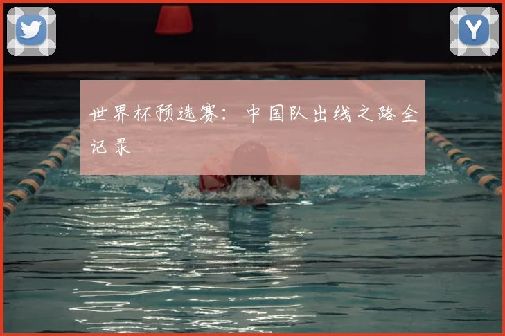 世界杯预选赛：中国队出线之路全记录