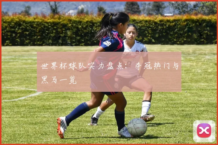 世界杯球队实力盘点:夺冠热门与黑马一览