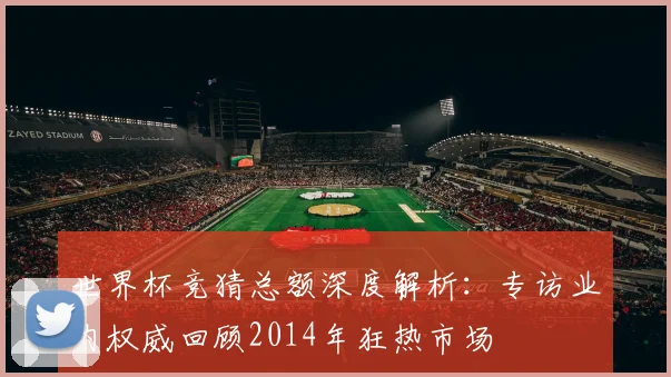 世界杯竞猜总额深度解析：专访业内权威回顾2014年狂热市场
